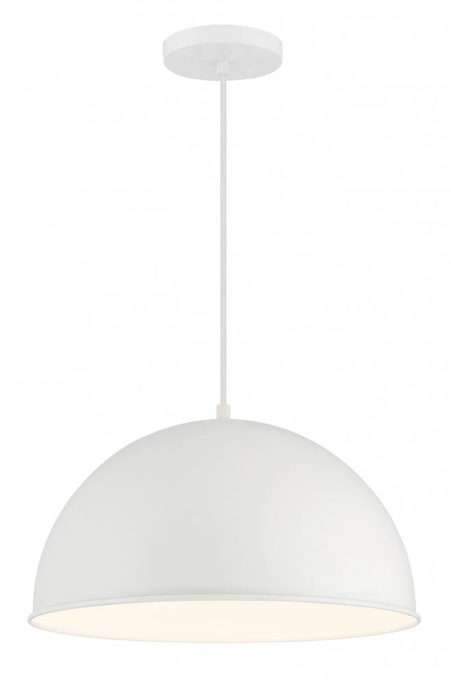 1 LIGHT HANGING DOME