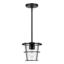 Seagull - Generation 6001401-112 - Tex One Light Pendant