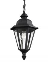 Seagull - Generation 6025-12 - Brentwood traditional 1-light outdoor exterior ceiling hanging pendant in black finish with clear gl