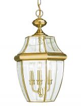 Seagull - Generation 6039-02 - Lancaster traditional 3-light outdoor exterior pendant in polished brass gold finish with clear curv