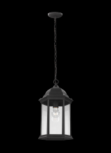 Seagull - Generation 6238701-12 - Sevier traditional 1-light outdoor exterior ceiling hanging pendant in black finish with clear glass