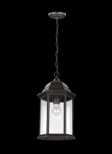 Seagull - Generation 6238701-71 - Sevier traditional 1-light outdoor exterior ceiling hanging pendant in antique bronze finish with cl