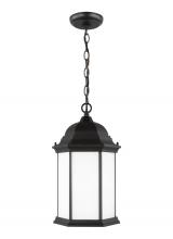 Seagull - Generation 6238751-12 - Sevier traditional 1-light outdoor exterior ceiling hanging pendant in black finish with satin etche