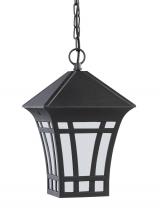 Seagull - Generation 69131-12 - Herrington transitional 1-light outdoor exterior hanging ceiling pendant in black finish with etched