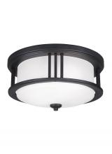 Seagull - Generation 7847902-12 - Crowell contemporary 2-light outdoor exterior ceiling flush mount in black finish with satin etched