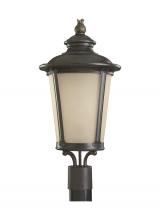 Seagull - Generation 82240-780 - Cape May traditional 1-light outdoor exterior post lantern in burled iron grey finish with etched li
