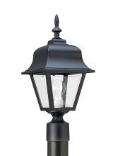 Seagull - Generation 8255-12 - Polycarbonate Outdoor traditional 1-light outdoor exterior medium post lantern in black finish with