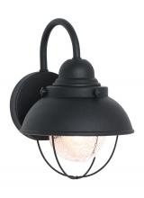 Seagull - Generation 8870-12 - Sebring transitional 1-light outdoor exterior small wall lantern sconce in black finish with clear s