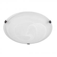 Capital Fixture Comp 2822FF-AL - 2 Light Flush Mount