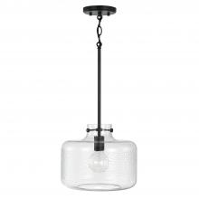 Capital Fixture Comp 342512MB - 1 Light Pendant