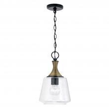 Capital Fixture Comp 345611KB - 1 Light Pendant