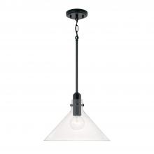 Capital Fixture Comp 345811MB - 1 Light Pendant