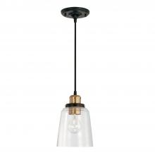 Capital Fixture Comp 3718AB-135 - 1 Light Pendant