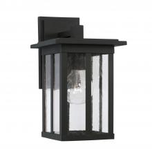 Capital Fixture Comp 943811BK - 1 Light Outdoor Wall Lantern