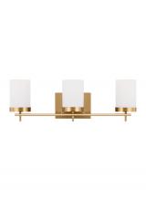 Generation - Designer 4490303-848 - Zire Three Light Bath