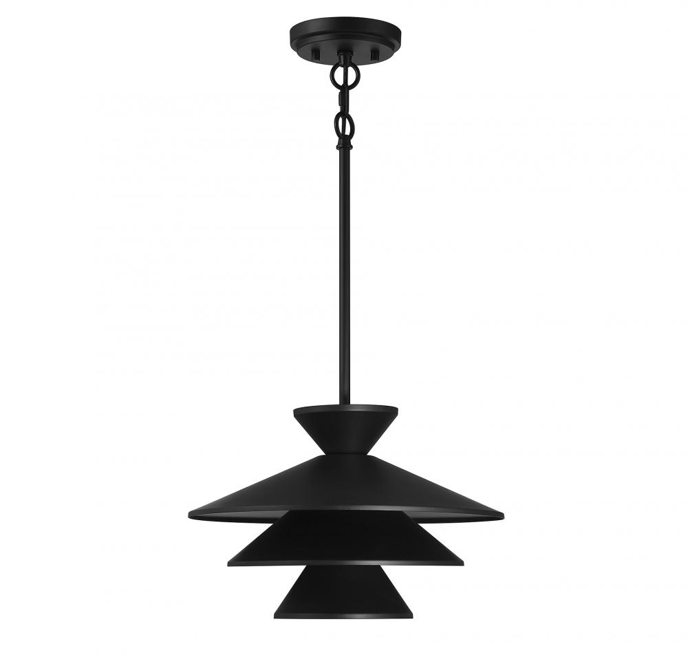 1-Light Pendant in Matte Black